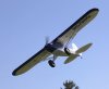 e-flite-carbon-z-cub.jpg